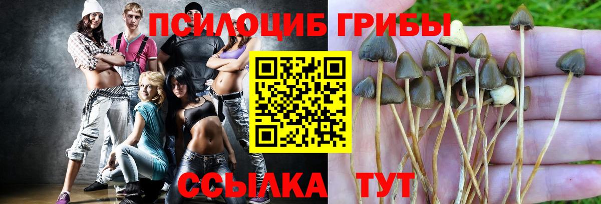Галлюциногенные грибы Cubensis Лыткарино