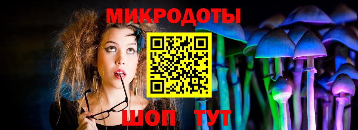 Лыткарино  Псилоцибиновые грибы Psilocybe  Вход с VPN  Псилоцибиновые грибы GOLDEN TEACHER 